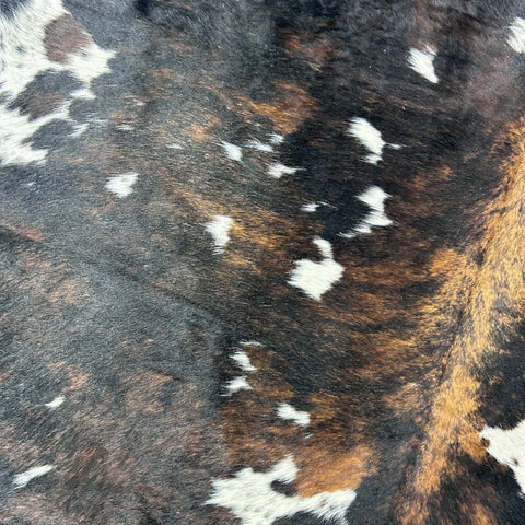 HUGE Tricolor Cowhide Rug (50 sq ft) Size: 8x7 feet Colombia-79
