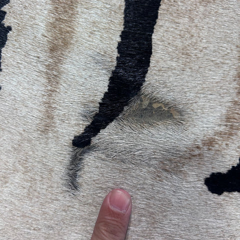 Genuine Zebra Print Cowhide Rug Size: 7.2x6 feet Z-268