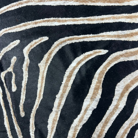 Genuine Zebra Print Cowhide Rug Size: 7.5x7 feet Z-270