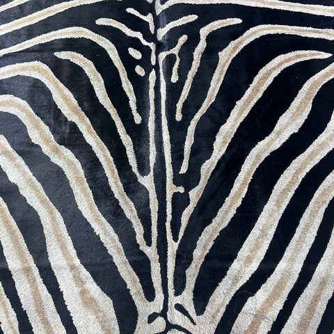Genuine Zebra Print Cowhide Rug (background a bit grey/ fire brands) Size: 6.5x6 feet Z-271
