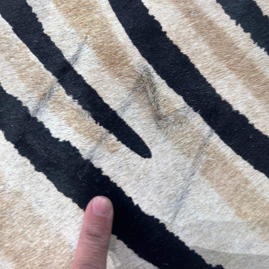 Genuine Zebra Print Cowhide Rug (background a bit grey/ fire brands) Size: 6.5x6 feet Z-271