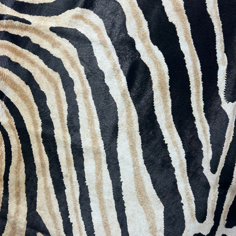 Genuine Zebra Print Cowhide Rug (beautiful quality!) Size: 7x6 feet Z-272