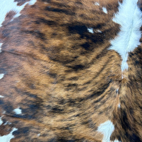 Tricolor Cowhide Rug (36.5 sq ft) Size: 7x6 feet Colombia-83