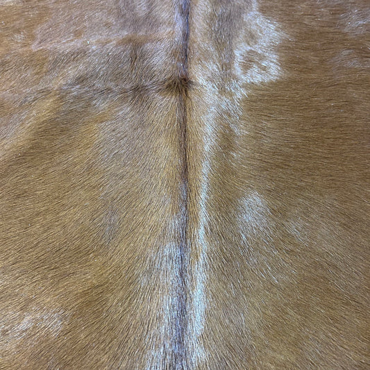 Hereford Cowhide Rug Size: 8x6.7 feet D-853