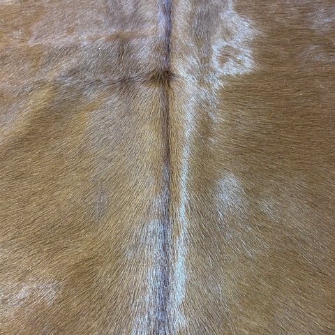 Hereford Cowhide Rug Size: 8x6.7 feet D-853