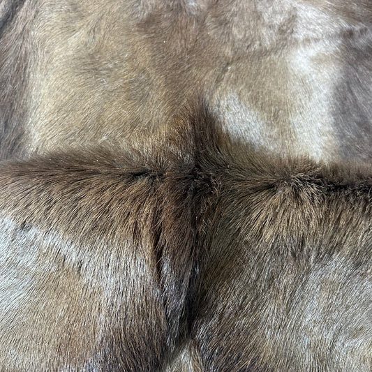 Naturally Black Springbok Skin- Antelope Hide L Size: 34X26 inch