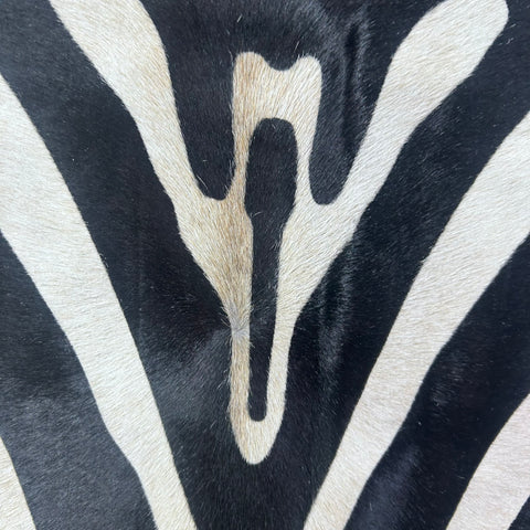 Upholstery Zebra Print Cowhide Rug (some brown in the middle) Size: 7x6 feet J-119