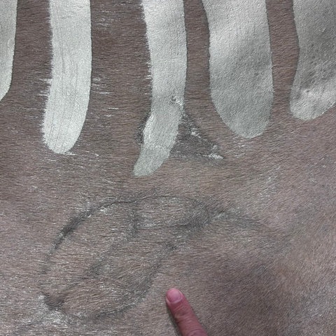 Rose Gold Metallic Zebra Cowhide Rug Size: 8x6 feet J-123