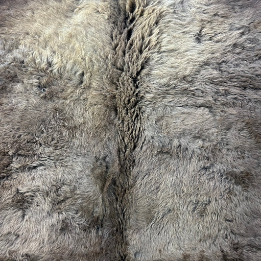 Bison Skin Rug (little tail) Size: 7.5x6.5 feet BISON # 17