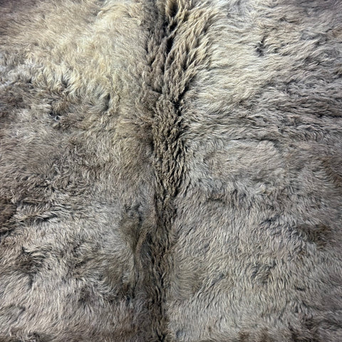 Bison Skin Rug (little tail) Size: 7.5x6.5 feet BISON # 17