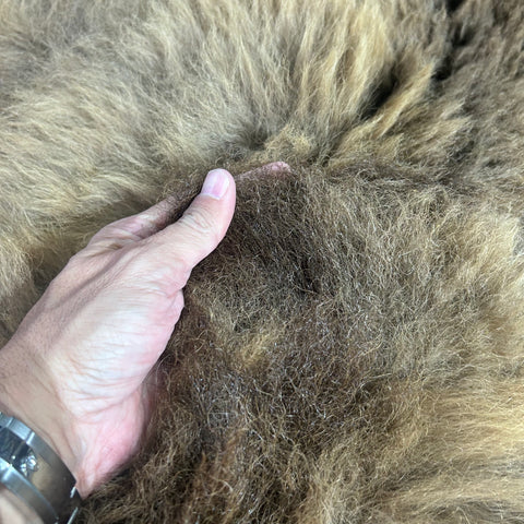 Bison Skin Rug (little tail) Size: 7.5x6.5 feet BISON # 17