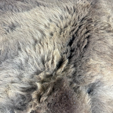 Bison Skin Rug (little tail) Size: 7.5x6.5 feet BISON # 17