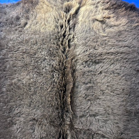 Bison Skin Rug (little tail) Size: 8x7 feet BISON # 18