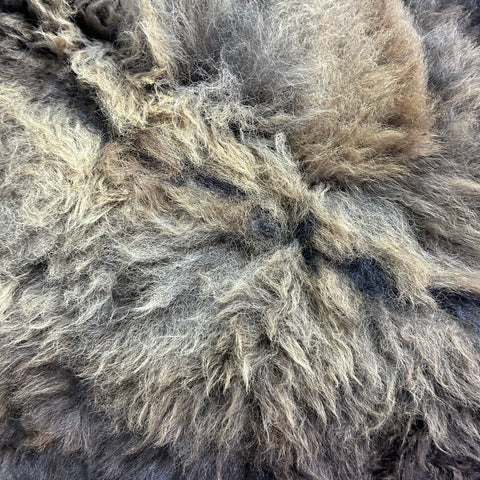 Bison Skin Rug (little tail) Size: 8x7 feet BISON # 18