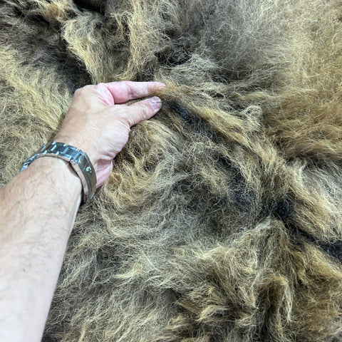 Bison Skin Rug (little tail) Size: 8x7 feet BISON # 18