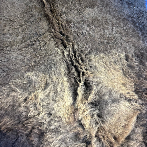 Bison Skin Rug (little tail) Size: 8x7 feet BISON # 18