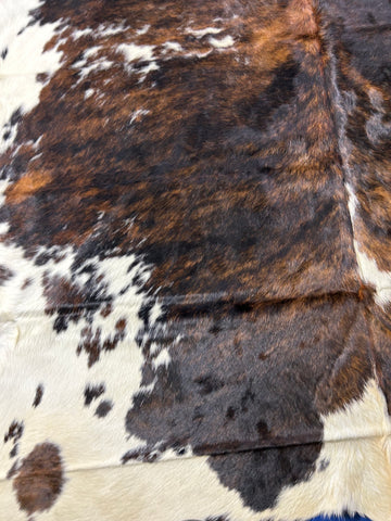 Beautiful Cowhide Rug Size: 8x7 feet D-375