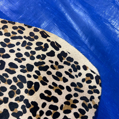 Leopard Print Cowhide Rug Size: 7x6 feet Z-288