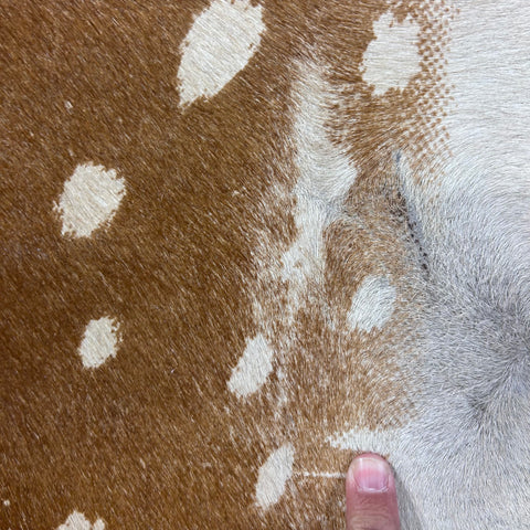 Axis Deer Print Cowhide Rug Size: 7x6.5 feet Z-091
