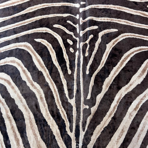 Genuine Zebra Print Cowhide Rug (brown stripes and brown inner stripes/ gorgeous) Size: 7.5x6.5 feet Z-093