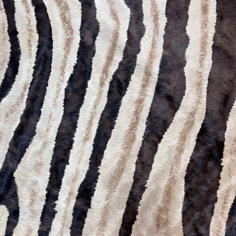 Genuine Zebra Print Cowhide Rug (brown stripes and brown inner stripes/ gorgeous) Size: 7.5x6.5 feet Z-093