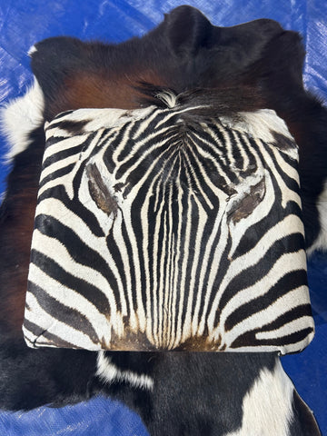 Real Zebra Skin Foot Stool 9 H X 13 X 13" Africa Zebra Skin Hair-on Mini Ottoman