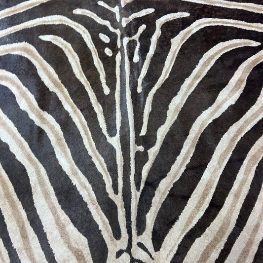 Genuine Zebra Print Cowhide Rug Size: 7.2x6 feet Z-098