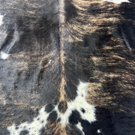 Brazilian Tricolor Cowhide Rug Size: 7x6.5 feet Z-101