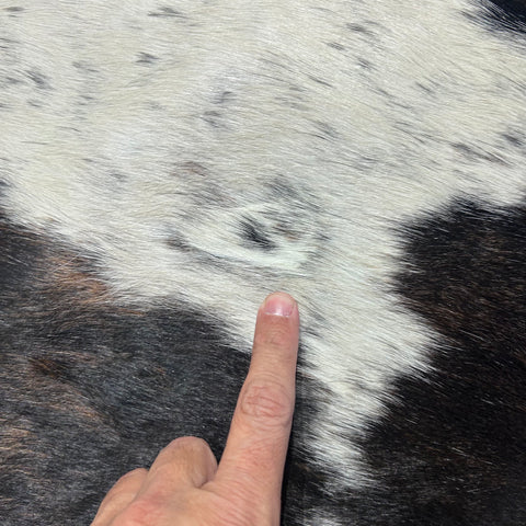 Brazilian Tricolor Cowhide Rug Size: 7x6.5 feet Z-101