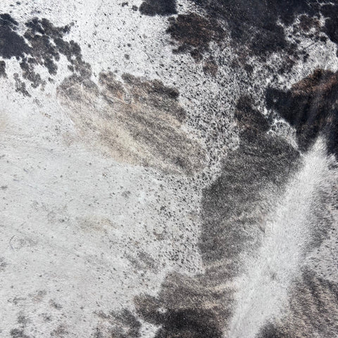 Brazilian Tricolor Cowhide Rug (grey brindle) Size: 8.2x7.5 feet Z-102