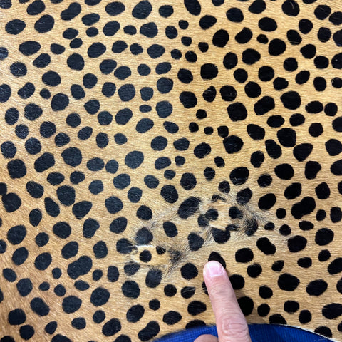 Cheetah Print Cowhide Rug Size: 6.7x5.5 feet Z-106
