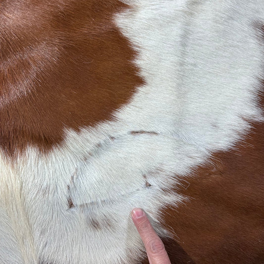 Brown and White Cowhide Rug Size: 8x6.2 feet D-881