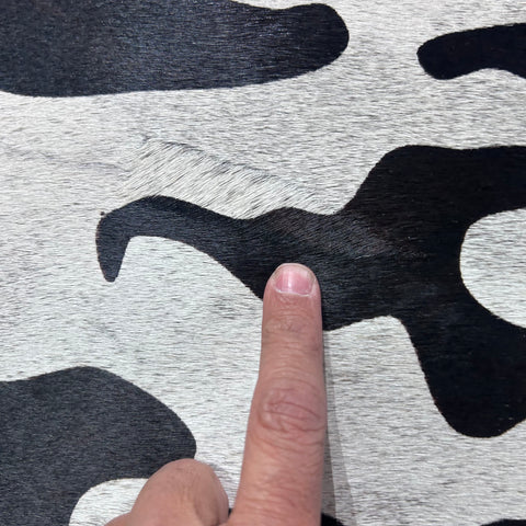 Tiger on Light Grey Cowhide Rug Size: 8x6.5 feet Z-110