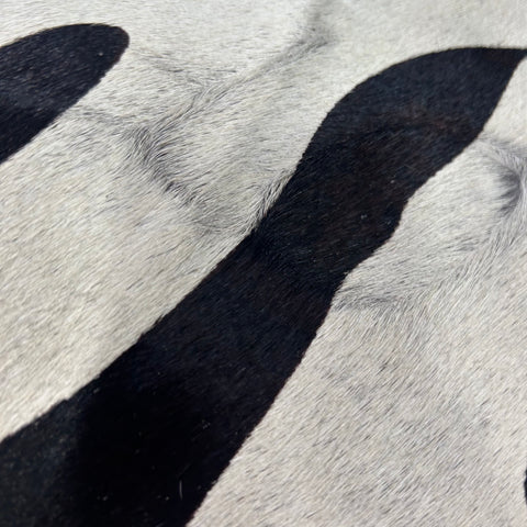 Tiger on Light Grey Cowhide Rug Size: 8x6.5 feet Z-110