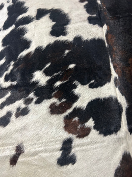 Tricolor Cowhide Rug D-386