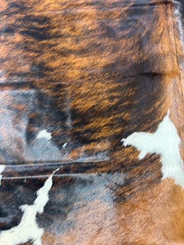 Tricolor Cowhide Rug Size: 7x6.5 ft D-387