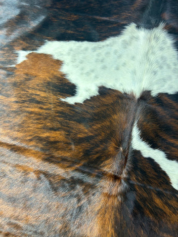 Tricolor Cowhide Rug Size: 7x6.5 ft D-387