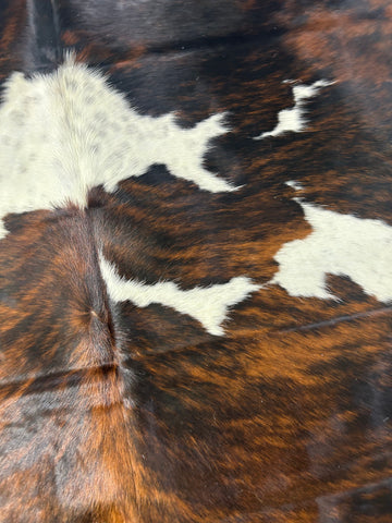 Tricolor Cowhide Rug Size: 7x6.5 ft D-387