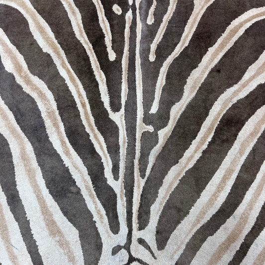 Genuine Zebra Cowhide Rug (faded / has a small hole) Size: 8x6.5 feet Z-115