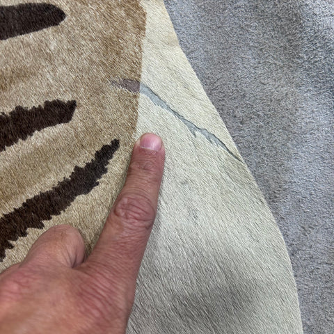 Genuine Zebra Cowhide Rug (faded) Size: 7x6.5 feet Z-116