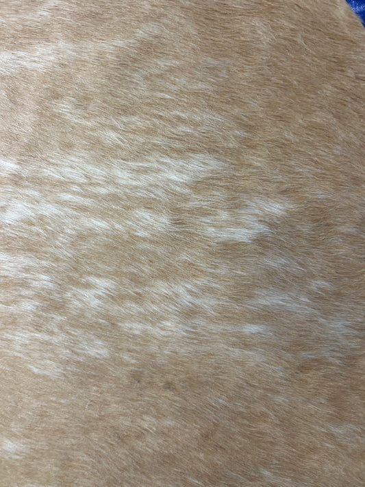 Dark Beige Brindle Cowhide Rug Size: 7x6 feet D-393