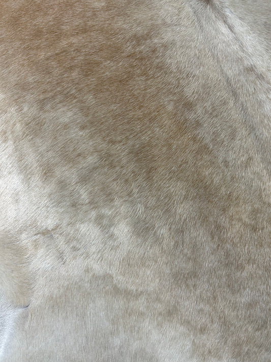 Palomino Cowhide Rug Size: 6x6.2 feet D-396