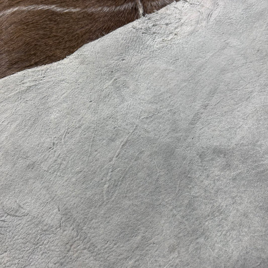 Gorgeous Kudu Skin (bald in neck/Tail is 12") Size: 66x61" F-011