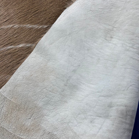 Gorgeous Kudu Skin (one small rub/Tail is 13") Size: 58x45" F-012