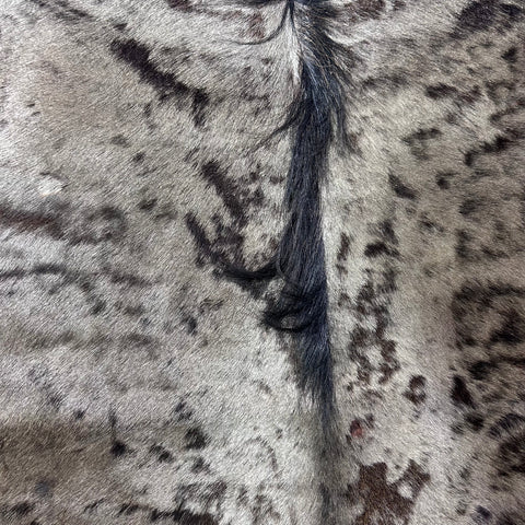 Blue Wildebeest Skin (Tail is 14") Size: 60x54" F-013
