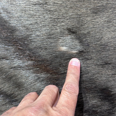 Blue Wildebeest Skin (Tail is 14") Size: 60x54" F-013