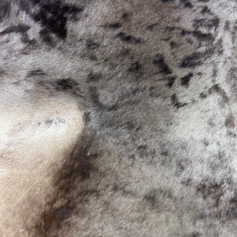 Blue Wildebeest Skin (Tail is 14") Size: 60x54" F-013