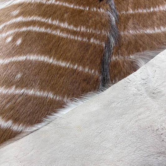 Nyala Skin (Tail is 8") Size: 35x33" F-014