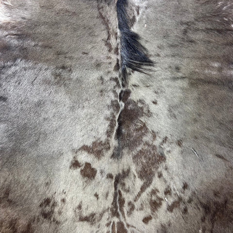 Blue Wildebeest Skin (Tail is 17") Size: 53x52" F-015