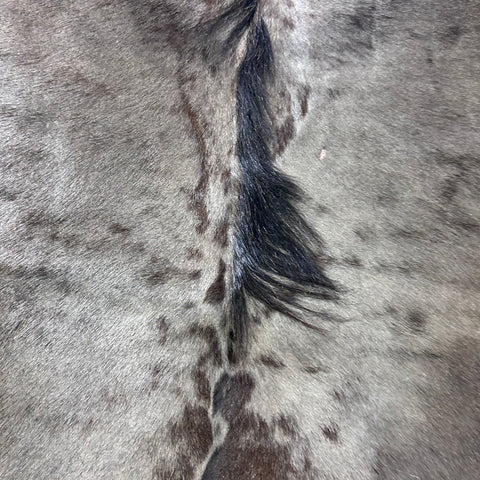 Blue Wildebeest Skin (Tail is 17") Size: 53x52" F-015